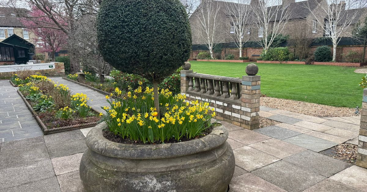 The Garden of Eden at the Panacea Museum Bedford