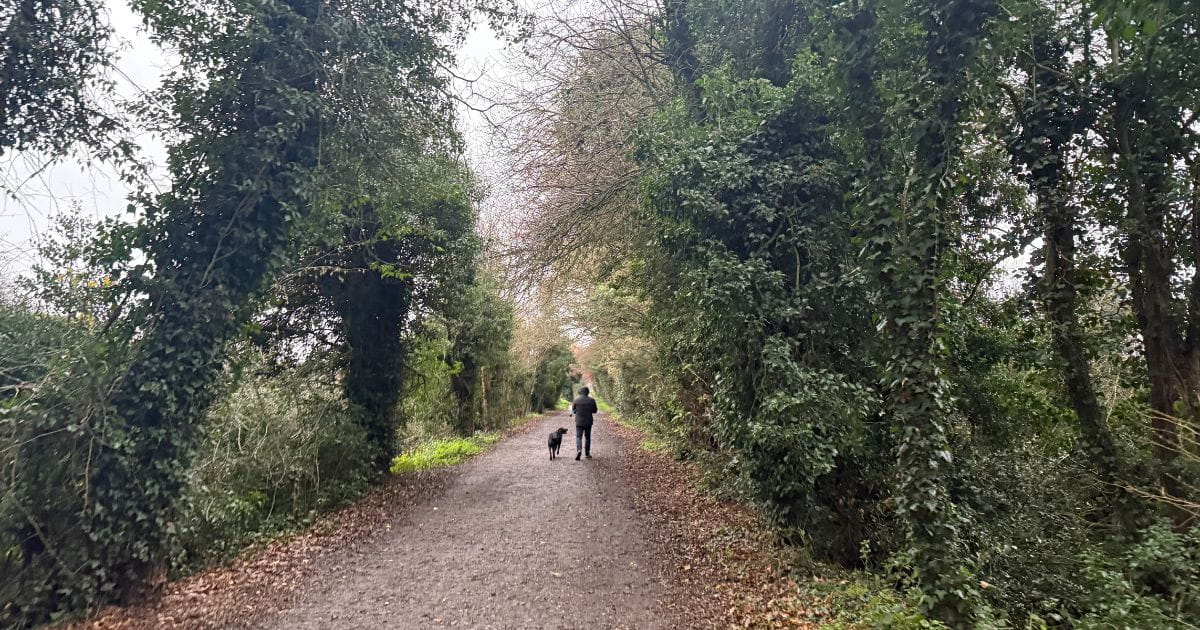 A person walking their dog along the Nickey Line near Harpenden