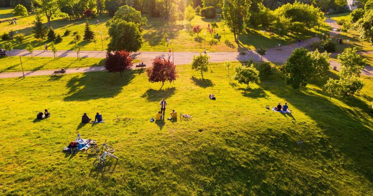 Regents Park in summer london