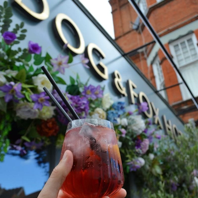 Dog and Fox Wimbledon