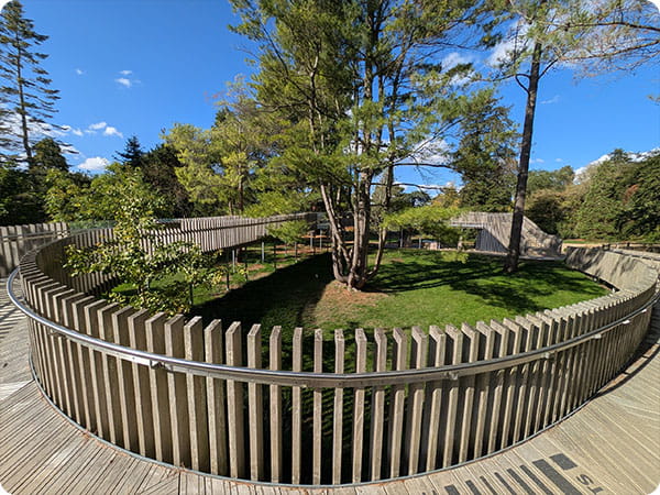 Cambridge Botanic Garden