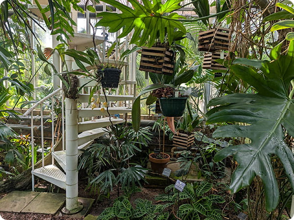 Cambridge Botanic Garden