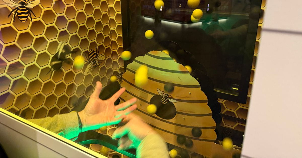 Fair Game types of games