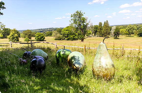 Fruit platter sculptures outside in a field
