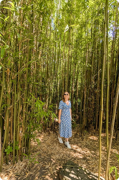 A girl walking in a bamboo garden