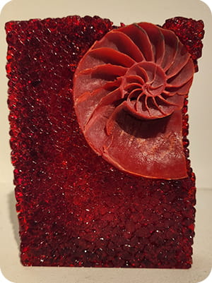 Museum display