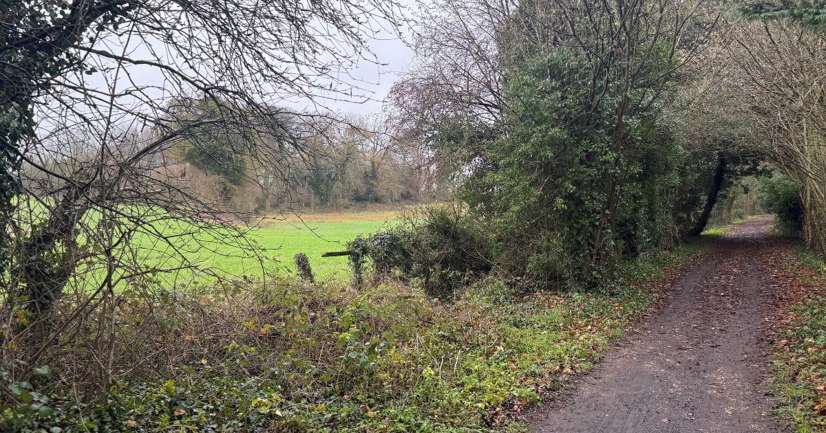 Open countryside along the Nickey Line