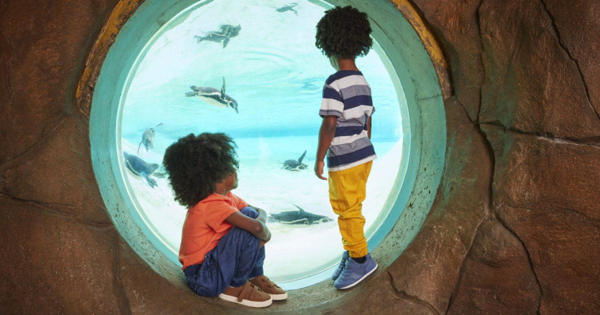London Zoo family friendly things to do