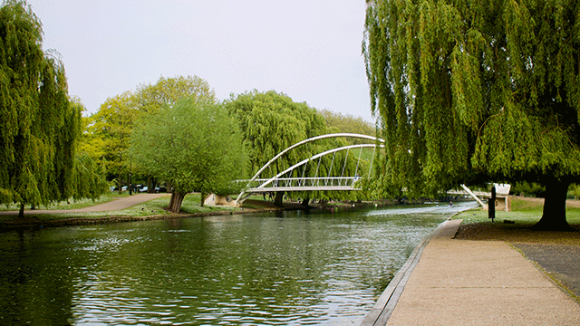Bedford