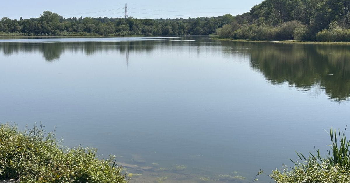 Aldenham Conutry Park reservoir near London