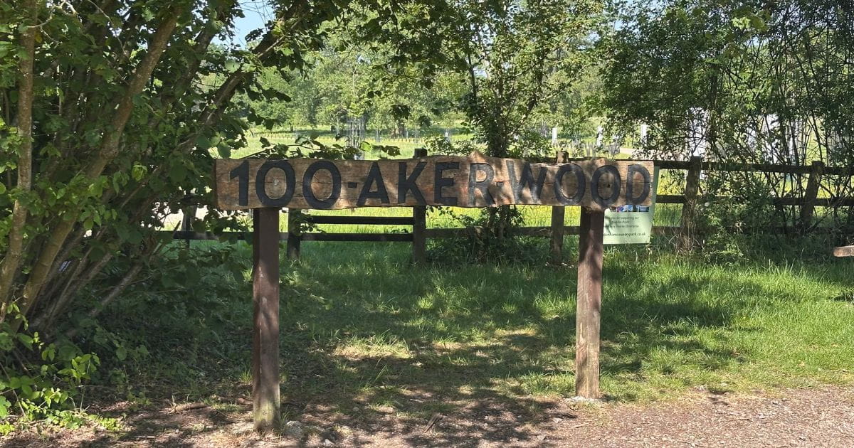 Outdoor mental health acitivities Aldenham Country Park near London