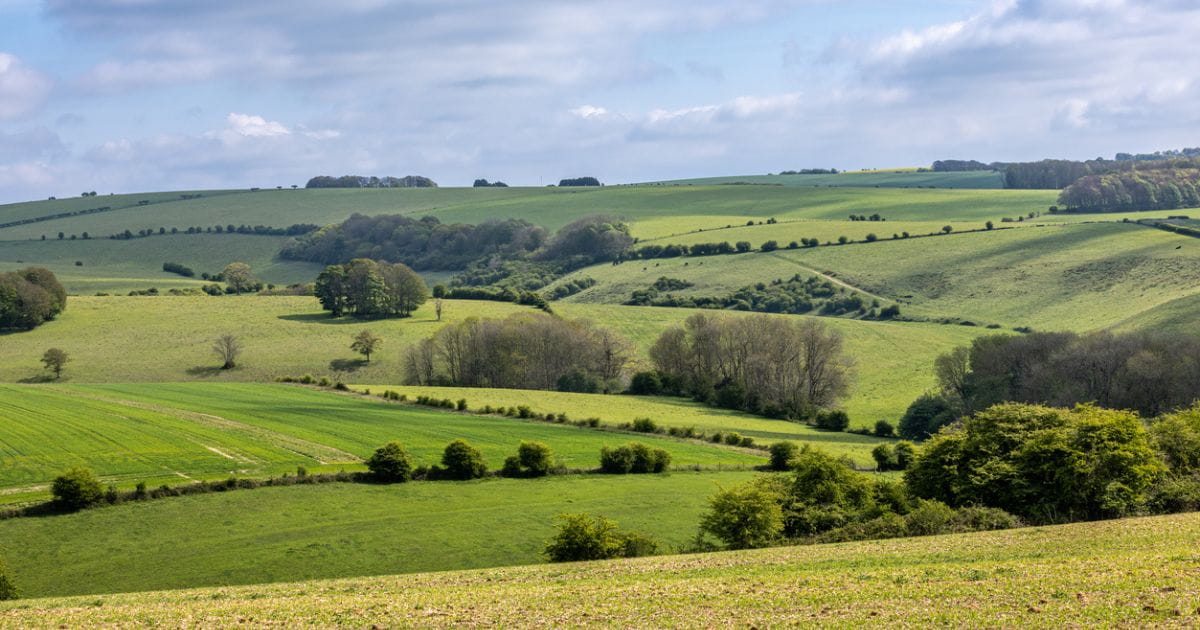 Brighton South Downs National Park walking nature
