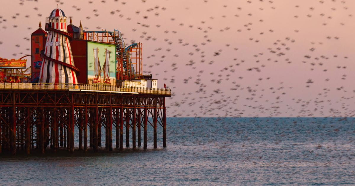 How to enjoy free things to do in Brighton