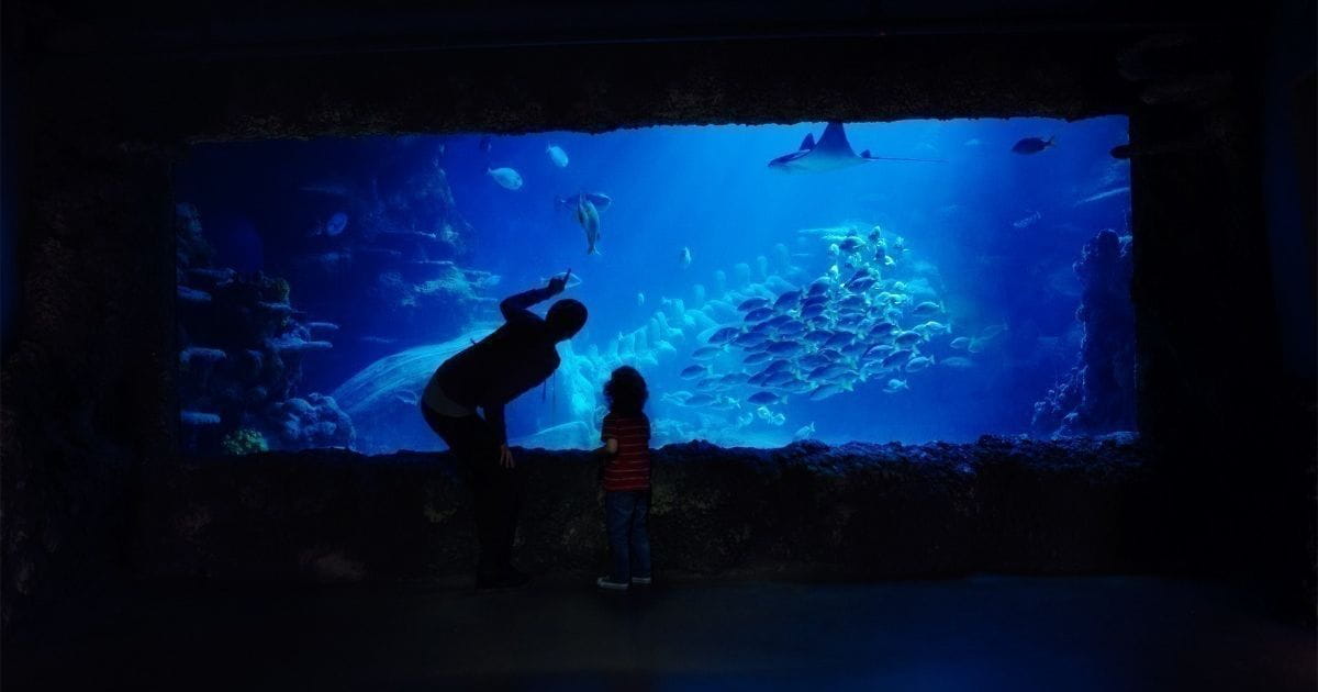 Sea Life Brighton discounted attraction when you travel by train