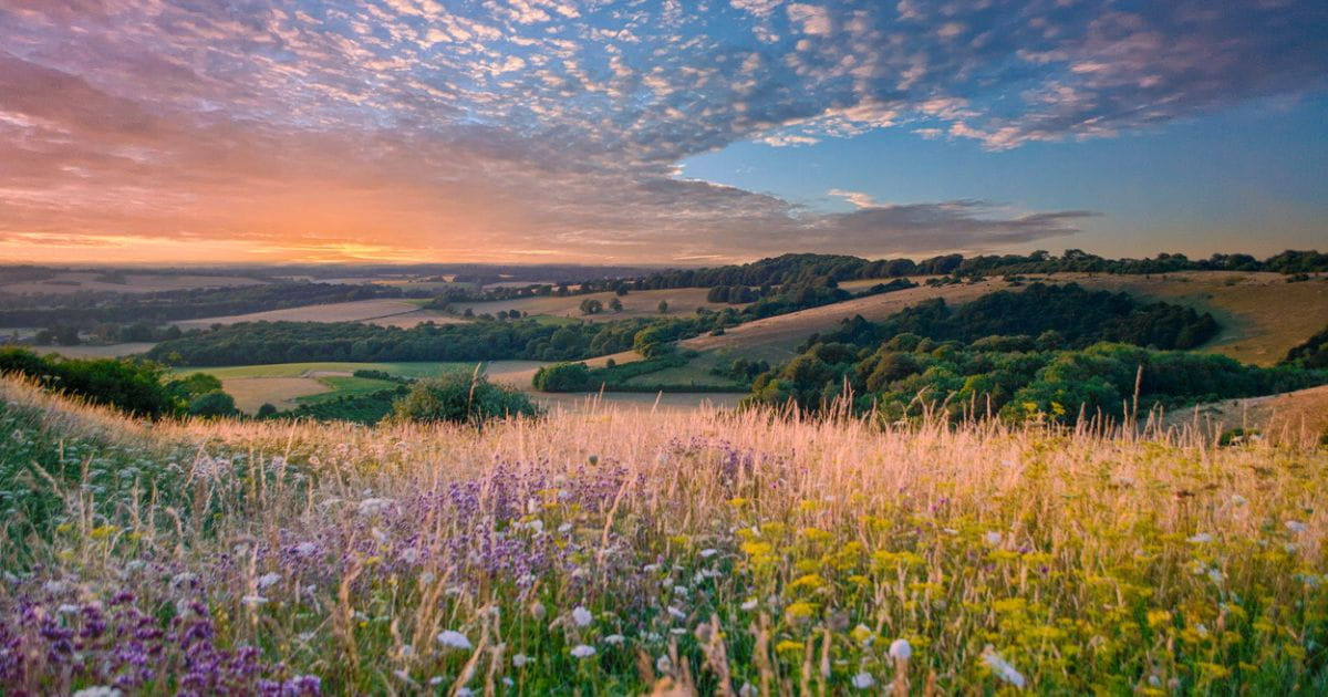 South Downs National Park Thameslink Brighton PlusBus