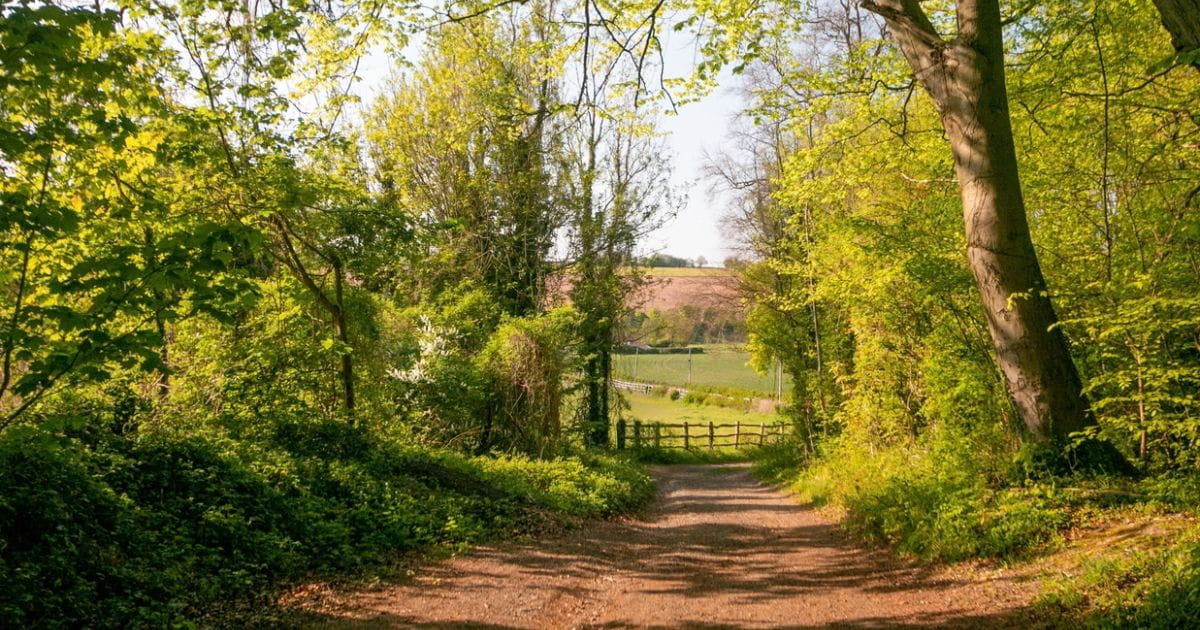 North Downs walks Darent Valley Eynsford Kent