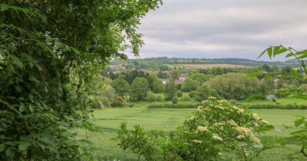Views across the North Downs and Darent Valley near Eynsford Kent