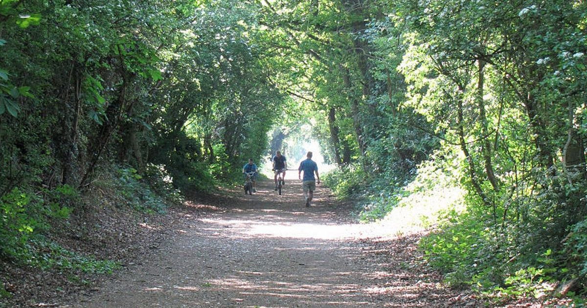 The Alban Way nature walks in Hatfield