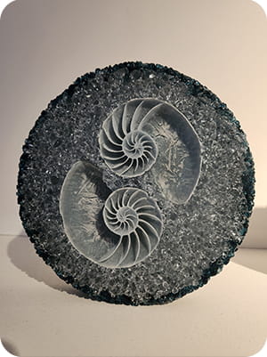 Museum display