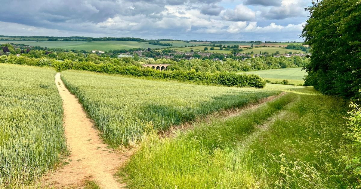 View over the North Downs of Eynsford Viaduct